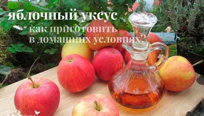 Рецепт приготовления яблочного уксуса — польза и вред для организма человека